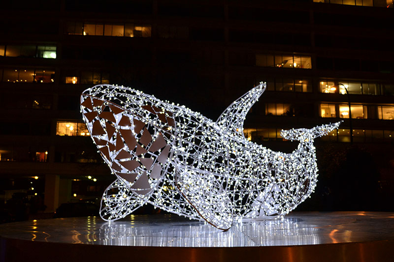 Lights in English Bay
